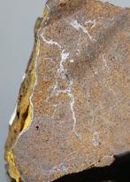 Meteoriet NWA 2965 Enstatite condriet Mooi stuk - 117 g -, Verzamelen, Mineralen en Fossielen