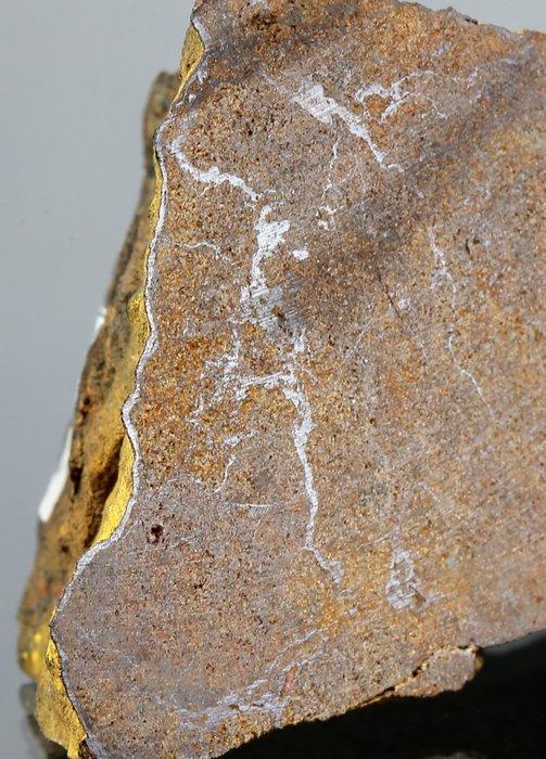 Meteoriet NWA 2965 Enstatite condriet Mooi stuk - 117 g -, Verzamelen, Mineralen en Fossielen