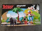 Playmobil - Astérix et Obélix - 71160 - Playmobil Chasse au