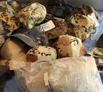 50 capsules de divers pays, Angleterre/Allemagne -, Verzamelen