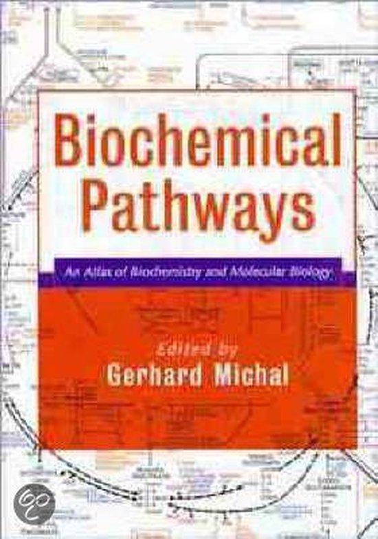 Biochemical Pathways 9780471331308 Gerhard Michal, Boeken, Taal | Engels, Gelezen, Verzenden