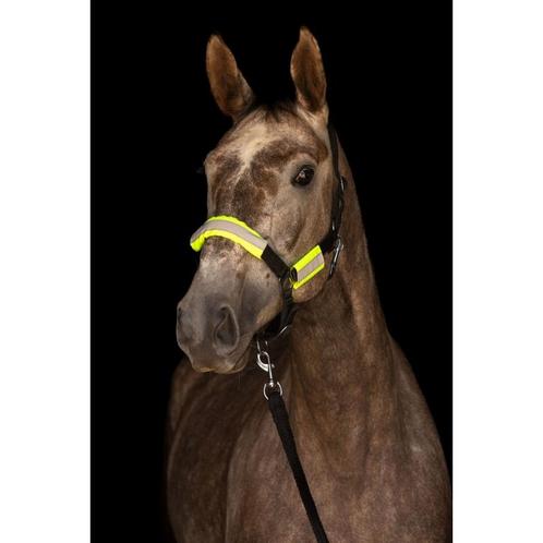 Reflex trens- en halsterset  - kerbl, Dieren en Toebehoren, Paarden en Pony's | Hoofdstellen en Tuigage, Nieuw