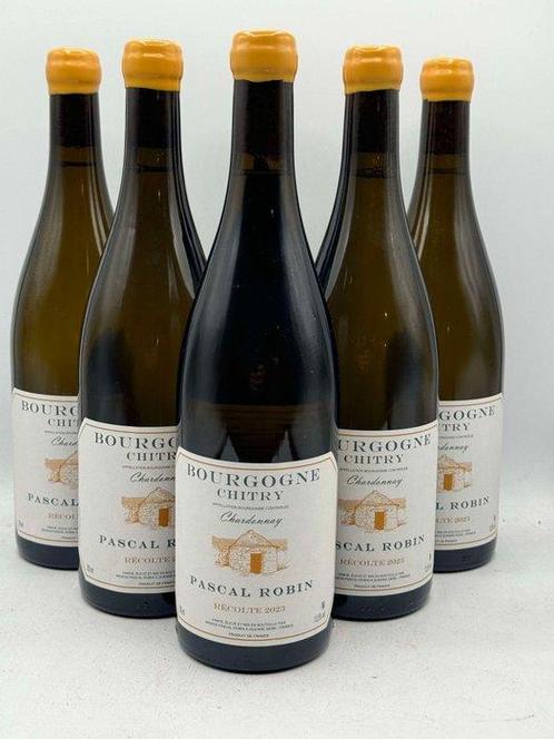2023 Pascal Robin Bourgogne Coteaux de Chitry - Bourgondië, Verzamelen, Wijnen