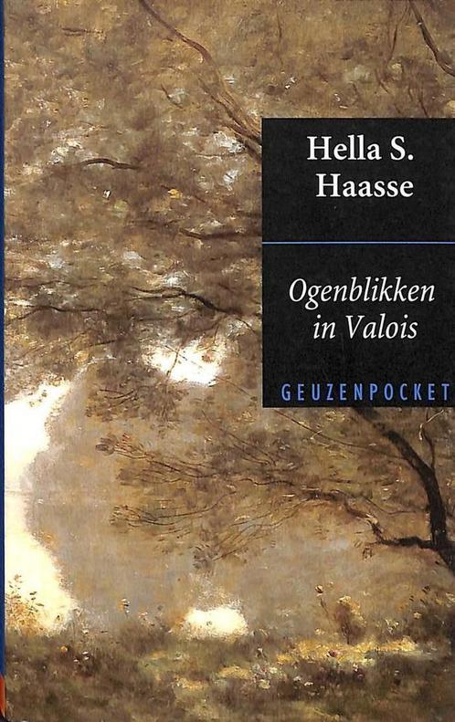 Ogenblikken in Valois / Geuzenpocket / 146 9789052267029, Boeken, Romans, Gelezen, Verzenden