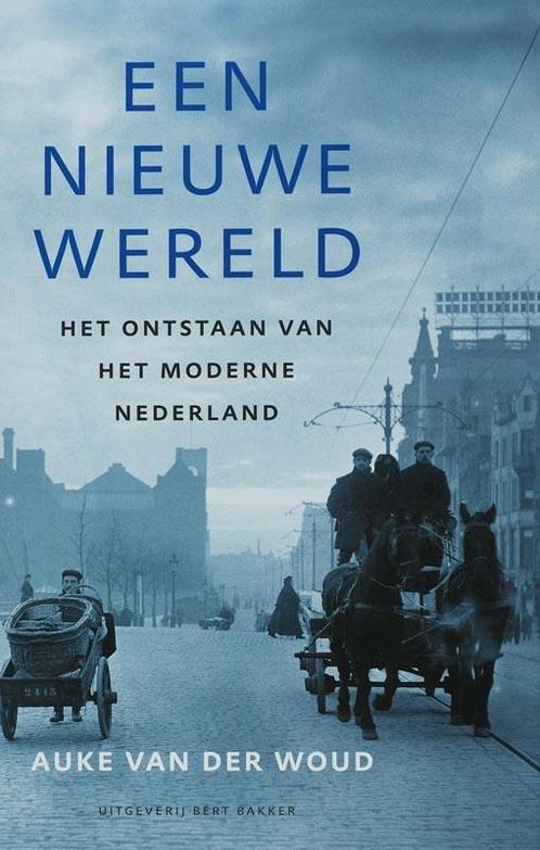 Een nieuwe wereld 9789035129832 Auke van der Woud, Boeken, Overige Boeken, Gelezen, Verzenden