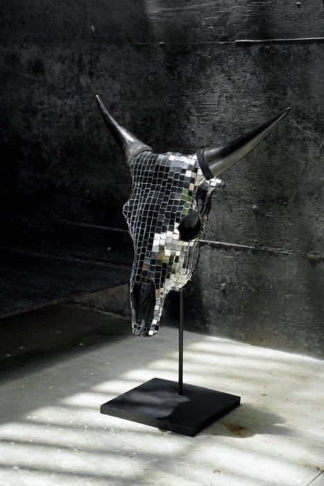 Geen minimumprijs - Indrukwekkende koeienschedel met, Antiek en Kunst, Curiosa en Brocante