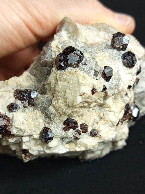 Granato PEZZO UNICO (Val Sissone, Sondrio, Italië)-Hoogte:, Verzamelen, Mineralen en Fossielen