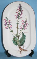 Villeroy & Boch - Salvia pratensis - Assiette à dîner -