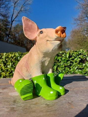 Beeld, young pig with boots - 29 cm - polyresin beschikbaar voor biedingen