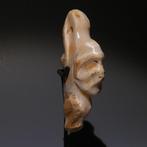 Taino, Caraïbe Os Amulette en forme de crâne. 8,5 cm de, Verzamelen