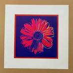 Andy Warhol (after) - Daisy, 1982 - Artprint - 50,6 x 50,6, Antiek en Kunst