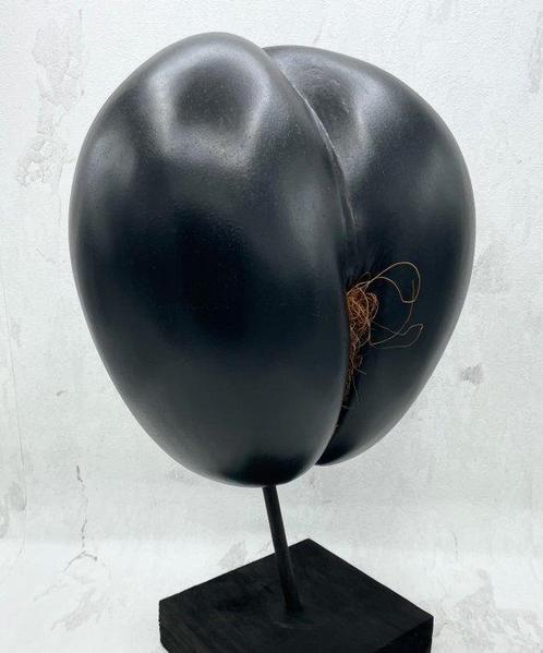 Coco de mer ou Coco fesse Support de corps entier pour, Verzamelen, Dierenverzamelingen