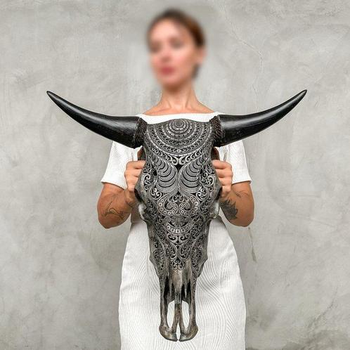 Geen reserveprijs - Grote grijze handgesneden stierenschedel, Antiek en Kunst, Kunst | Designobjecten