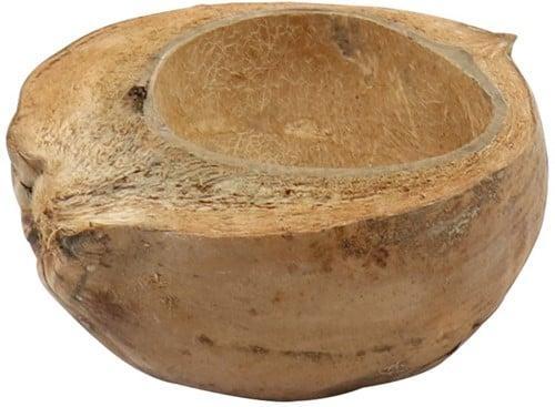 Kokosnoot Naturel halve 18-20 cm per stuk, Huis en Inrichting, Woonaccessoires | Kunstplanten en Kunstbloemen, Nieuw