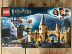 Lego - Harry Potter - 75953 - Château Hogwarts Whomping