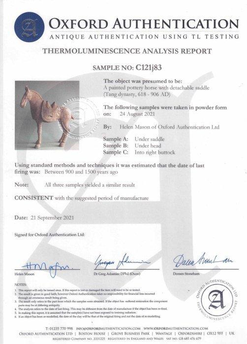 Oud Chinees, Tang-dynastie Terracotta Paard met afneemb, Verzamelen, Mineralen en Fossielen