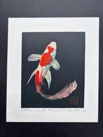 Little Comet Fortune Carp Koi fish - Black Edition -