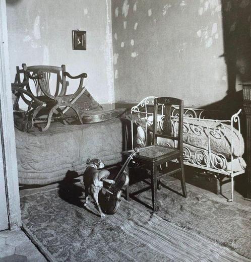 Robert Doisneau - Le violon souillé, 1946, Antiek en Kunst, Kunst | Schilderijen | Modern