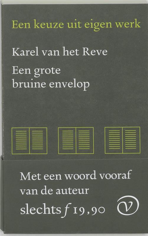 Een grote bruine envelop 9789028208001 Karel van het Reve, Boeken, Romans, Gelezen, Verzenden