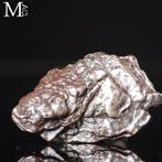 Campo del Cielo - Meteoriet – Buitenaards fragment - Hoogte: