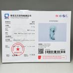 Gecertificeerde jadeïet (A-jade) Draak hanger - Hoogte: 50