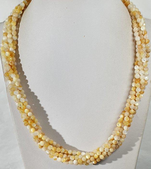 Madreperla de los Mares del Sur - 6 windingen - zeer, Verzamelen, Mineralen en Fossielen