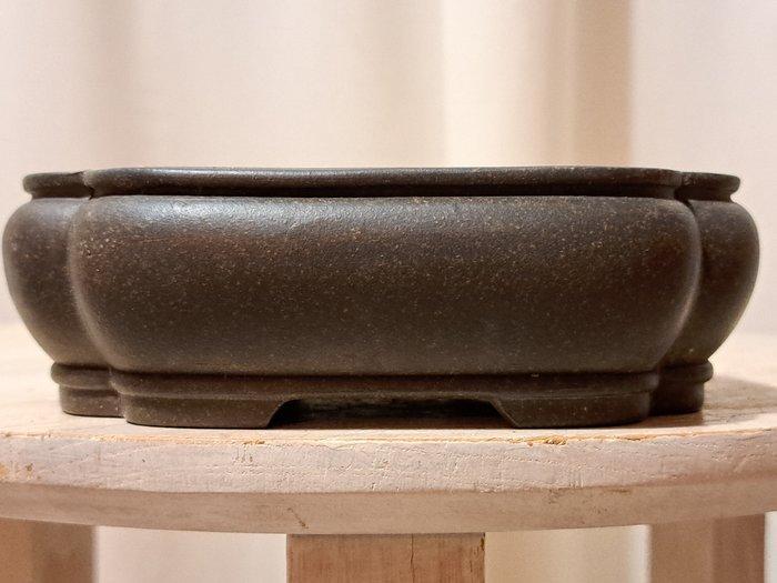 Bonsai schaal - 15x12x4,5cm - ongeglazuurd - Hoogte (boom):, Antiek en Kunst, Curiosa en Brocante