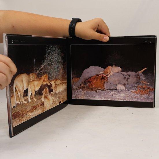 Africas Big Five 9780624039716 Pat De La Harpe, Livres, Langue | Anglais, Envoi