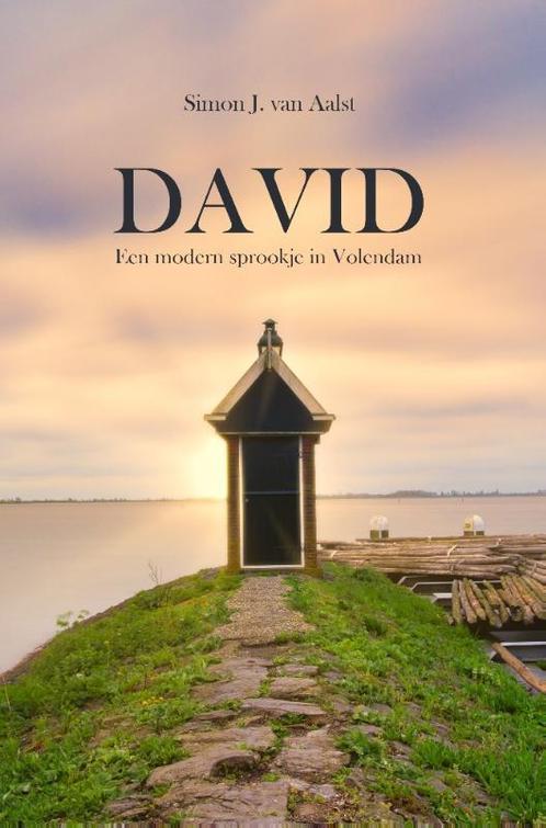 David 9789464034042 Simon van Aalst, Boeken, Romans, Gelezen, Verzenden