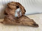 Fine Sinking Wood Selected  fs924 23x14x8 cm, Ophalen of Verzenden, Nieuw, Plant(en), Steen of Hout