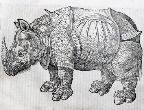Conrad Gesner - De Quadrupedibus - 1551, Antiek en Kunst, Antiek | Boeken en Manuscripten