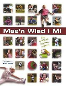 Gwasg Gomer : Maen Wlad I Mi: Cip Ar Blant Cymru Heddi, Livres, Livres Autre, Envoi