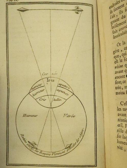 Voltaire - Elemens de la philosophie de Neuton [Newton], Antiquités & Art, Antiquités | Livres & Manuscrits