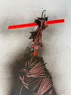 Emilio Scanavino (1922-1986) - Trame