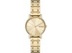 Skagen SKW3124 Vrouwen Horloge - Goudkleurig, Verzenden, Nieuw
