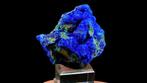 Azurite sur Malachite - Czar Mine, Copper Queen Mine,, Verzamelen, Mineralen en Fossielen