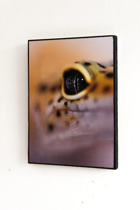 Isabella Tahmassian - Gekko glow - No reserve price, Antiek en Kunst, Kunst | Designobjecten
