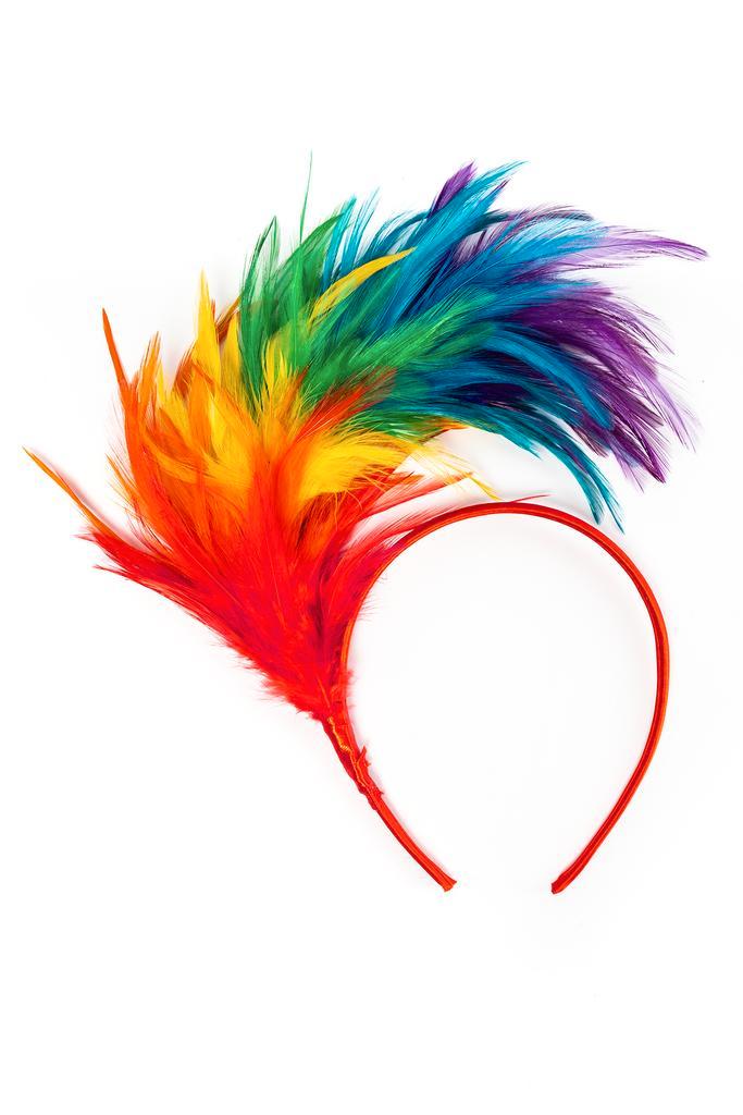 Haarband Veren Regenboog Diadeem Veertjes Multicolor Papagaa, Kleding | Dames, Carnavalskleding en Feestkleding, Nieuw, Ophalen of Verzenden