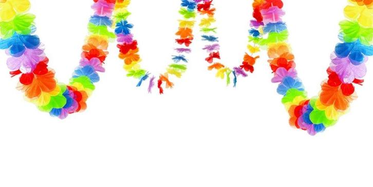 Bloemenslinger 3m, Hobby en Vrije tijd, Feestartikelen, Nieuw, Verzenden