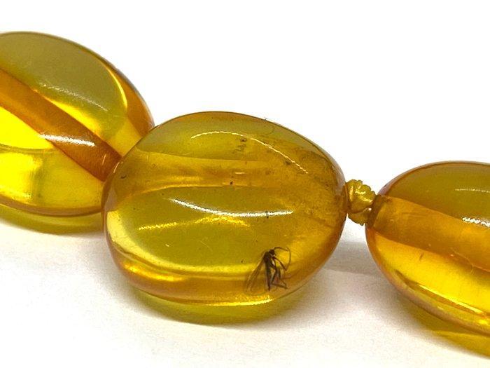 Unieke natuurlijke Baltische barnsteen ketting met insect -, Verzamelen, Mineralen en Fossielen