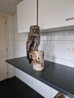 Great grey owl Taxidermie volledige montage - Strix nebulosa, Nieuw