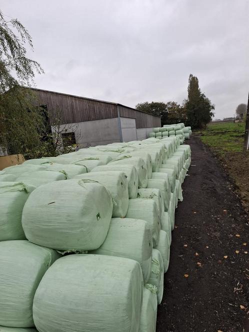 MPB mix, Dieren en Toebehoren, Dierenvoeding, Vee