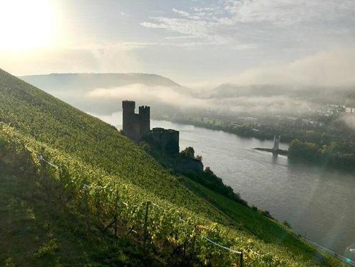 2003 Weingut Kunstler, Hochheimer Holle Riesling - Rheingau, Verzamelen, Wijnen
