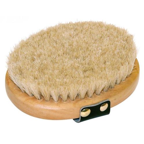 Verwenborstel (ovaal) houten - rug, paardenharen brush&co -, Dieren en Toebehoren, Overige Dieren-accessoires, Nieuw