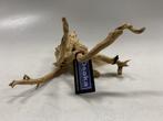 Spiderwood Selected SW60 - 30x19x20cm (Spider wood), Ophalen of Verzenden, Nieuw, Plant(en), Steen of Hout