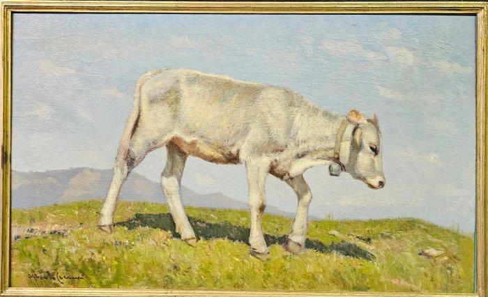 Alberto Cecconi (1897-1971) - Vitello al Pascolo, Antiek en Kunst, Kunst | Schilderijen | Klassiek