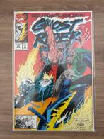 Ghost Rider Ghost Rider Comic Lot of 9 (#29, #30, #32, #33,, Livres