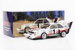 werk83 1:18 - Modelauto - Audi Sport Quattro S1 E2 #1 Winner, Hobby en Vrije tijd, Nieuw