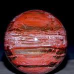 Fossiele houten bol uit Madagaskar. - Gefossiliseerd hout -, Nieuw