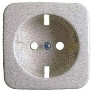 ABB Busch-Jaeger SI Control Element/Central Plate Switchgear, Doe-het-zelf en Bouw, Elektriciteit en Kabels, Verzenden